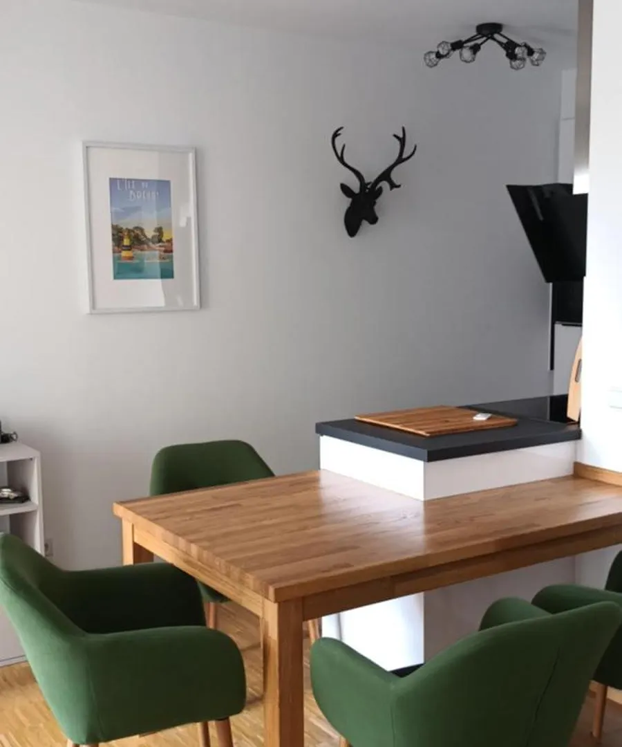 Wunderschoene Ferienwohnung Direkt An Der Elbe, Alt-Und Neustadtnaehe ドレスデン 0*,
